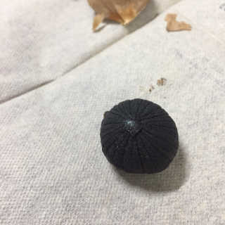 정신무역 티베트 히말라야 샹그릴라 통흑마늘 250g — 5점을 준 리뷰어가 2020년 3월 올린 사용 사진