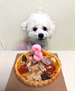 아름님이 올린 리뷰 사진 1