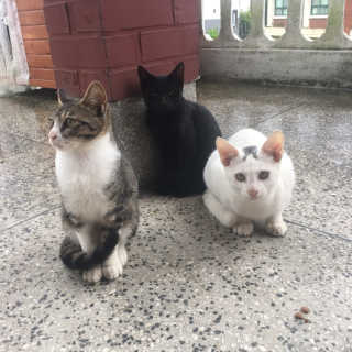 단발소녀님이 올린 리뷰 사진 3