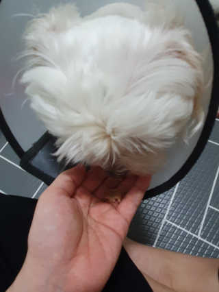 썬썬님이 올린 리뷰 사진 4