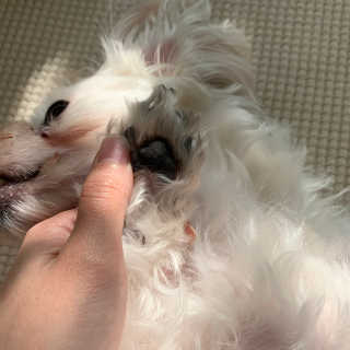silvermoon님이 올린 리뷰 사진 4
