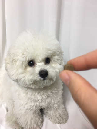 땡큐순님이 올린 리뷰 사진 1