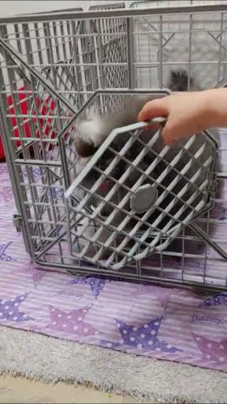 hanara님이 올린 리뷰 사진 2