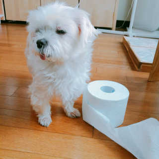 견우네님이 올린 리뷰 사진 3