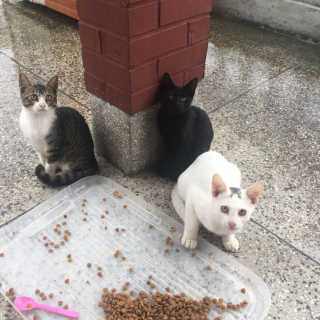 단발소녀님이 올린 리뷰 사진 2