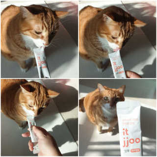 썰뇽님이 올린 리뷰 사진 3