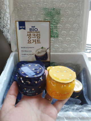 [매일 바이오] 생크림요거트 플레인 12개 + 유자 12개 — 5점을 준 리뷰어가 2019년 6월 올린 사용 사진