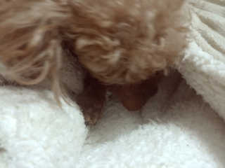 MijeongKim님이 올린 리뷰 사진 3
