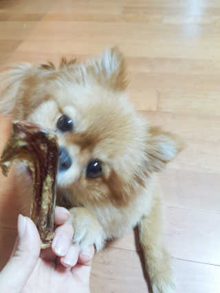 YulaKim님이 올린 리뷰 사진 3