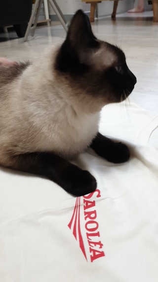 쪼쪼님이 올린 리뷰 사진 3