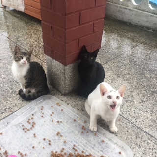 단발소녀님이 올린 리뷰 사진 3