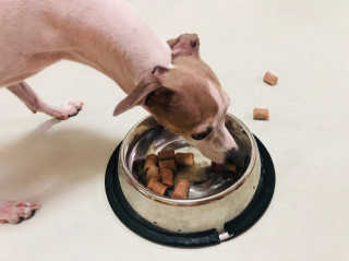 잇진님이 올린 리뷰 사진 3