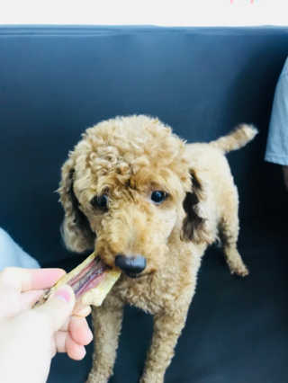 쏭님이 올린 리뷰 사진 3