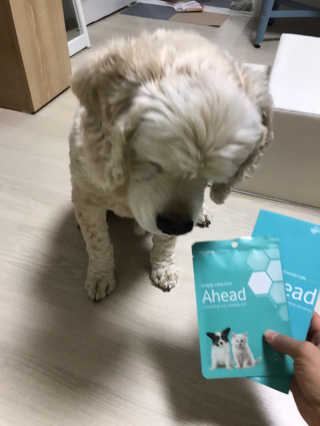 멋쟁이지휘관님이 올린 리뷰 사진 3