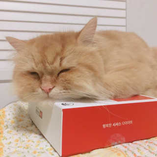 나르미르님이 올린 리뷰 사진 1