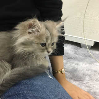 뀨르뀰님이 올린 리뷰 사진 2