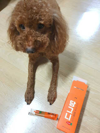 호호엄마님이 올린 리뷰 사진 4