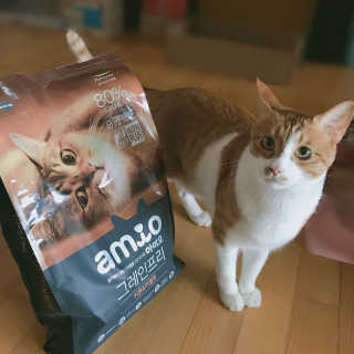 ENJO님이 올린 리뷰 사진 2