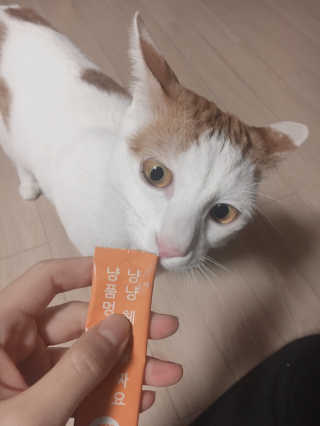 yooon❤️님이 올린 리뷰 사진 2