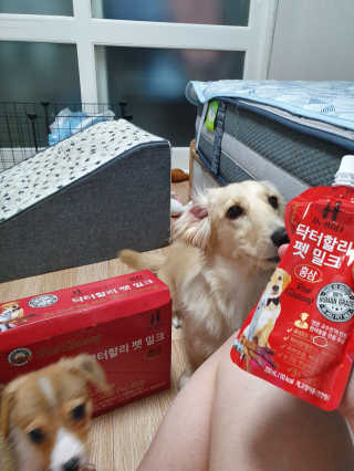 Uhhhhh님이 올린 리뷰 사진 2