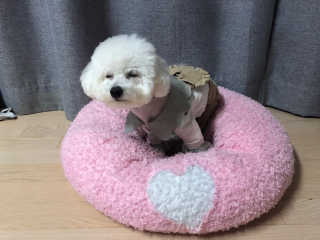 마이멜로디님이 올린 리뷰 사진 2