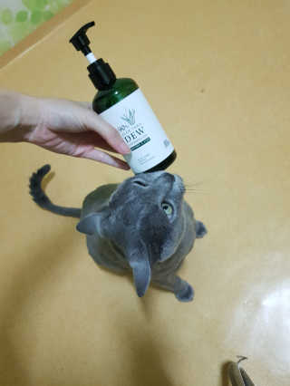 연화님이 올린 리뷰 사진 2