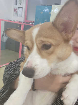 밍또님이 올린 리뷰 사진 1