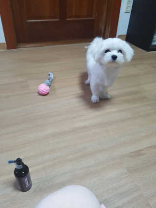 블링데코님이 올린 리뷰 사진 3
