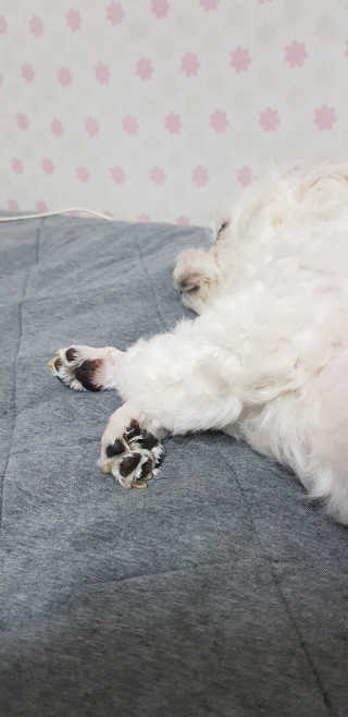 두부님이 올린 리뷰 사진 2
