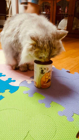 nami님이 올린 리뷰 사진 2