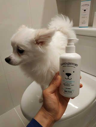 강아지스토리 펫샴푸 300ml — 4.5점을 준 리뷰어가 2019년 3월 올린 사용 사진