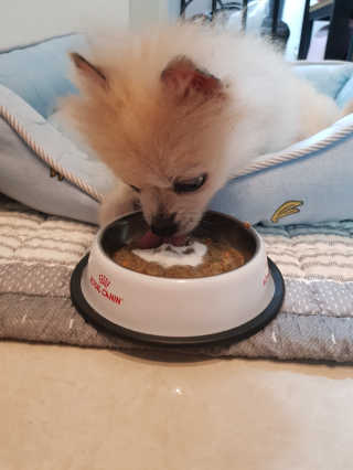 이엘리사님이 올린 리뷰 사진 4