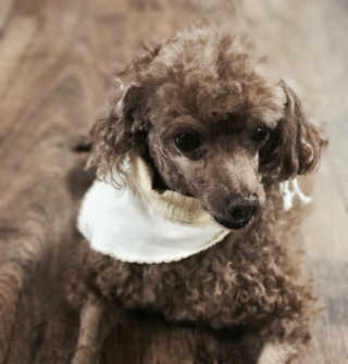 JjEe님이 올린 리뷰 사진 2