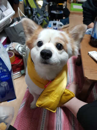EunsolKim님이 올린 리뷰 사진 2
