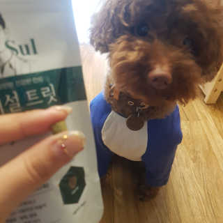 바이미르님이 올린 리뷰 사진 3