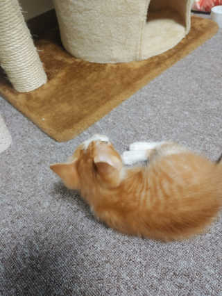 짱아미님이 올린 리뷰 사진 3