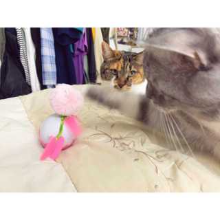 호고미야님이 올린 리뷰 사진 3