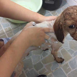 이아영님이 올린 리뷰 사진 4