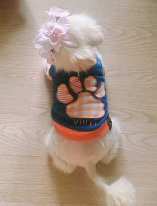 🌸다혜님이 올린 리뷰 사진 2
