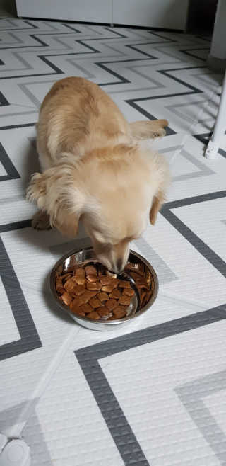 한나양님이 올린 리뷰 사진 2