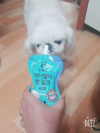 닥터할리펫밀크 8종 — 5점을 준 리뷰어가 2018년 10월 올린 사용 사진
