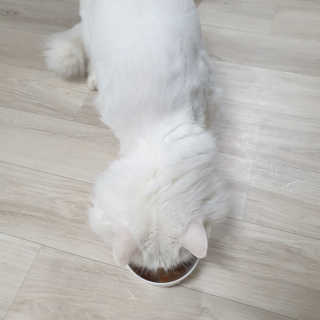 찌나님이 올린 리뷰 사진 2