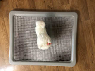 리리릴님이 올린 리뷰 사진 2