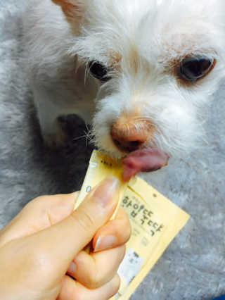 [펫토리아] 강아지,고양이겸용 짜먹는 한입뚝딱 — 5점을 준 리뷰어가 2019년 2월 올린 사용 사진