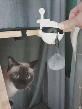 이하연님이 올린 리뷰 사진 1