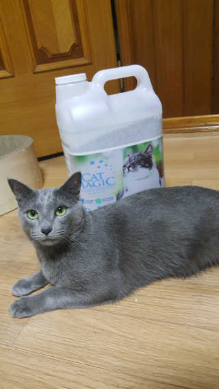 또근님이 올린 리뷰 사진 4