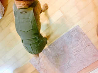 Riahn님이 올린 리뷰 사진 1