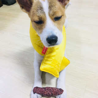 D0님이 올린 리뷰 사진 1