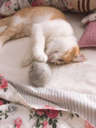 쿠키순대맘님이 올린 리뷰 사진 1
