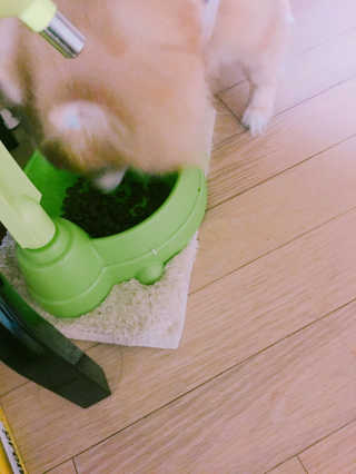 정민혜님이 올린 리뷰 사진 3